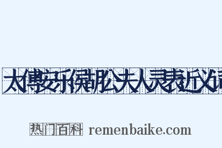 太傅安乐侯胡公夫人灵表近义词是什么意思的图片